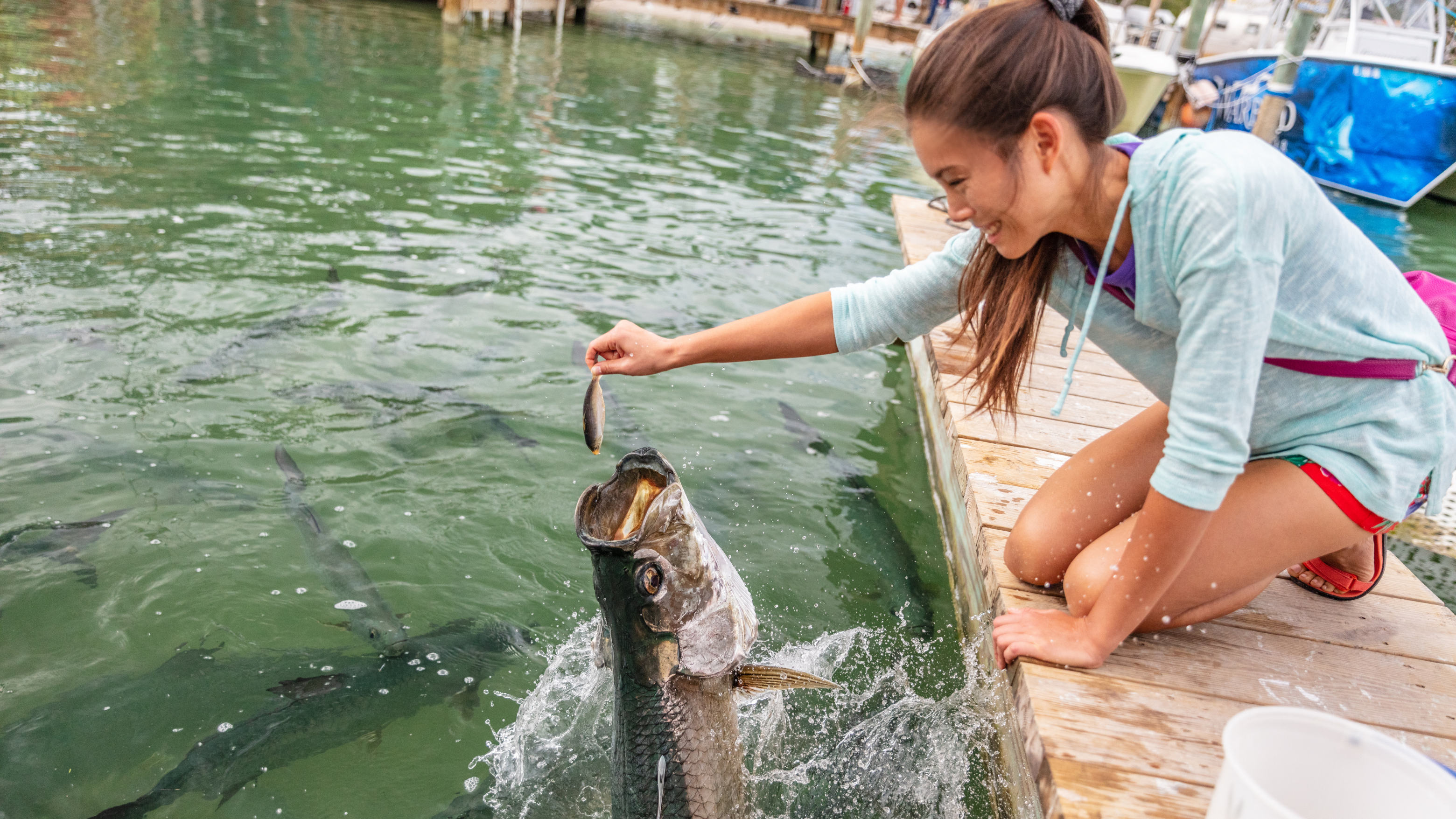 Blog10 Image: Little girl feeding the fish